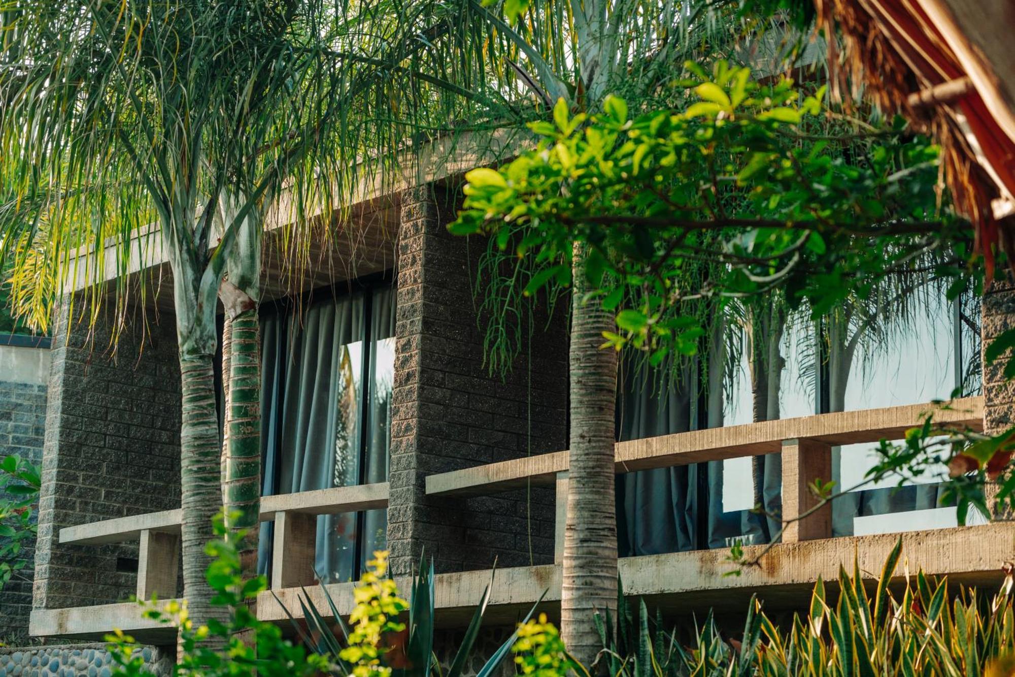 Puro Surf Hotel & Performance Academy El Zonte Exterior foto